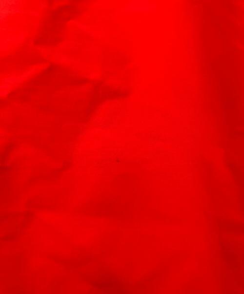 THE NORTH FACE（ザ ノース フェイス）THE NORTH FACE (ザ ノース フェイス) マウンテンジャケット レッド×ブラック サイズ:Mの古着・服飾アイテム