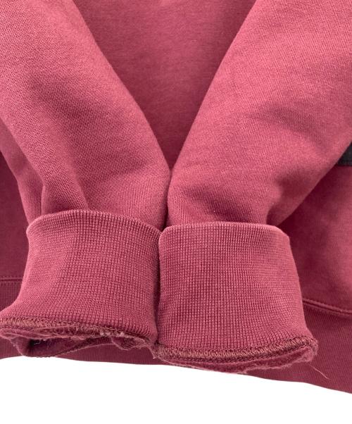 NIKE ACG（ナイキエーシージー）NIKE ACG (ナイキエージーシー) スウェット レッド サイズ:Mの古着・服飾アイテム