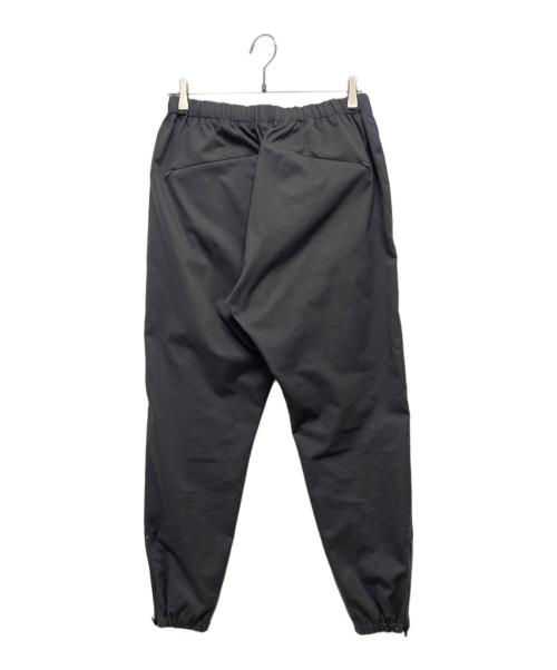 Needles（ニードルズ）Needles (ニードルズ) サイドラインシームポケットイージーパンツ グレー×パープル サイズ:Sの古着・服飾アイテム