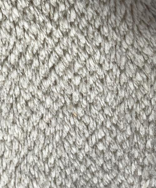 Patagonia（パタゴニア）Patagonia (パタゴニア) フリースジャケット ベージュ サイズ:Ｍの古着・服飾アイテム