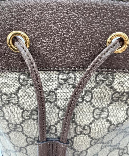GUCCI（グッチ）GUCCI (グッチ) オフィディア スモール バケットバッグ ブラウン×ベージュの古着・服飾アイテム