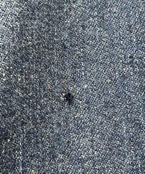 FERRE JEANS（フリージーンズ）FERRE JEANS (フリージーンズ) カバーオール インディゴ サイズ:42の古着・服飾アイテム