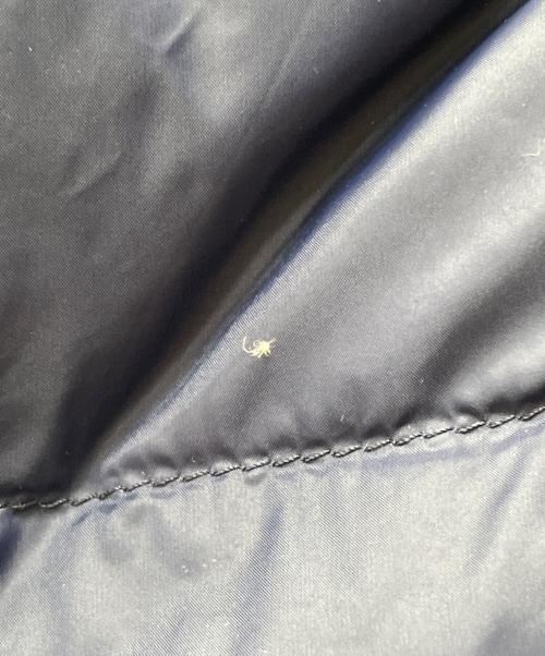 POLO RALPH LAUREN（ポロ・ラルフローレン）POLO RALPH LAUREN (ポロ・ラルフローレン) ダウンジャケット ネイビー サイズ:Mの古着・服飾アイテム