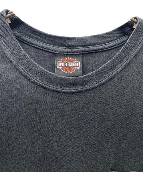HARLEY-DAVIDSON（ハーレーダビッドソン）HARLEY-DAVIDSON (ハーレーダビッドソン) 半袖Tシャツ ブルーフレイム スカル ブラック サイズ:Mの古着・服飾アイテム