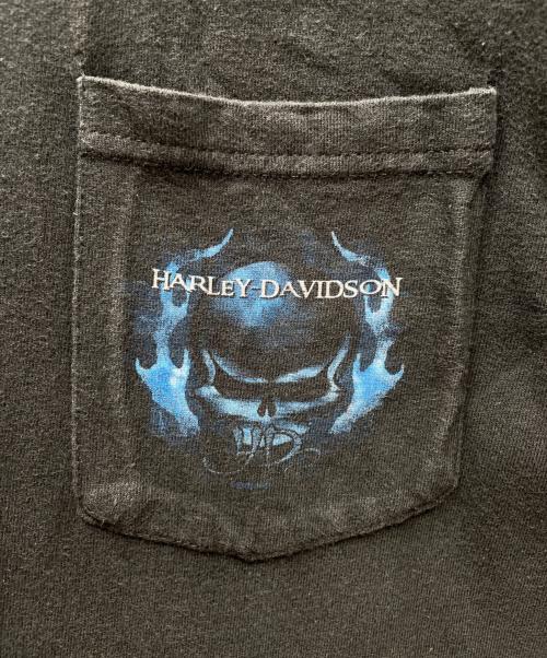 HARLEY-DAVIDSON（ハーレーダビッドソン）HARLEY-DAVIDSON (ハーレーダビッドソン) 半袖Tシャツ ブルーフレイム スカル ブラック サイズ:Mの古着・服飾アイテム