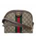 GUCCI（グッチ）の古着「オフィディア スモール ショルダーバッグ」｜ベージュブラウン