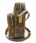 LOUIS VUITTON (ルイヴィトン) アマゾン サイズ:- モノグラム M45236 TH0072：59800円
