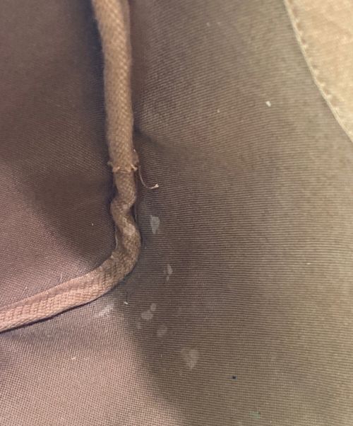 LOUIS VUITTON（ルイ ヴィトン）LOUIS VUITTON (ルイ ヴィトン) スピーディ30 ブラウン サイズ:30の古着・服飾アイテム