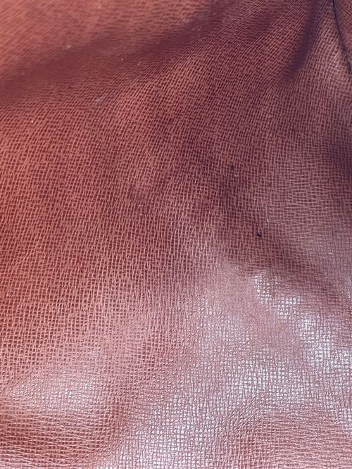 LOUIS VUITTON（ルイ ヴィトン）LOUIS VUITTON (ルイ ヴィトン) パピヨンGM ブラウン サイズ:GMの古着・服飾アイテム