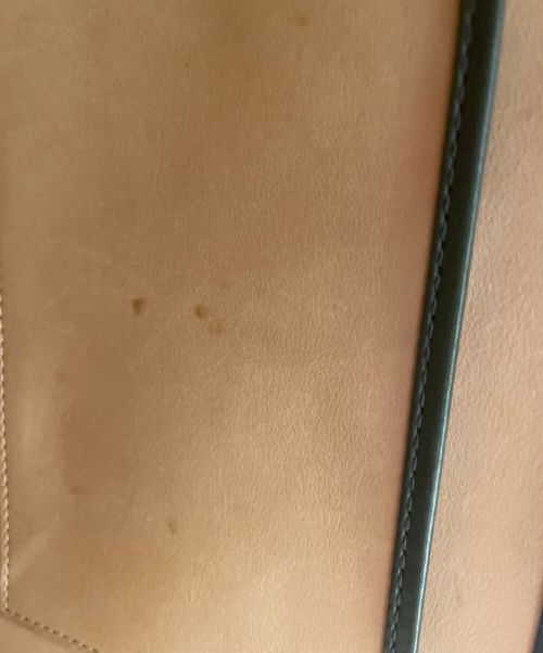 DELVAUX（デルヴォー）DELVAUX (デルヴォー) ブリヨンGM  オリーブ サイズ:GMの古着・服飾アイテム