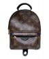 LOUIS VUITTON（ルイ ヴィトン）の古着「パームスプリングス バックパック ミニ」