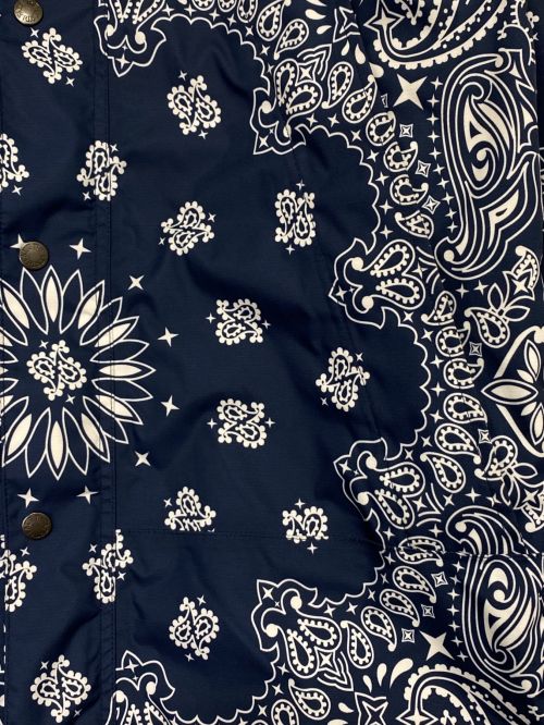 SUPREME（シュプリーム）SUPREME (シュプリーム) THE NORTH FACE (ザ ノース フェイス) BANDANA MOUNTAIN PARKA ネイビー サイズ:Sの古着・服飾アイテム