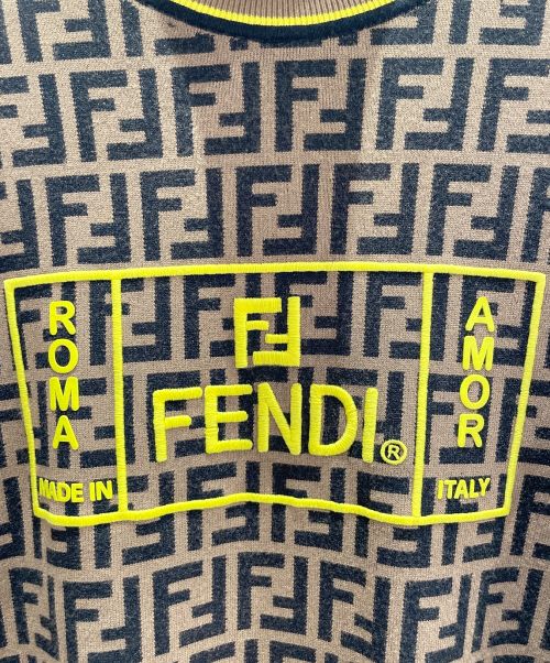 FENDI（フェンディ）FENDI (フェンディ) ズッカタートルネックニット ブラウン×ブラック サイズ:50の古着・服飾アイテム