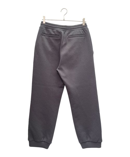 LOUIS VUITTON（ルイ ヴィトン）LOUIS VUITTON (ルイ ヴィトン) テクニカル ファブリック モノグラムパンツ グレー サイズ:Lの古着・服飾アイテム