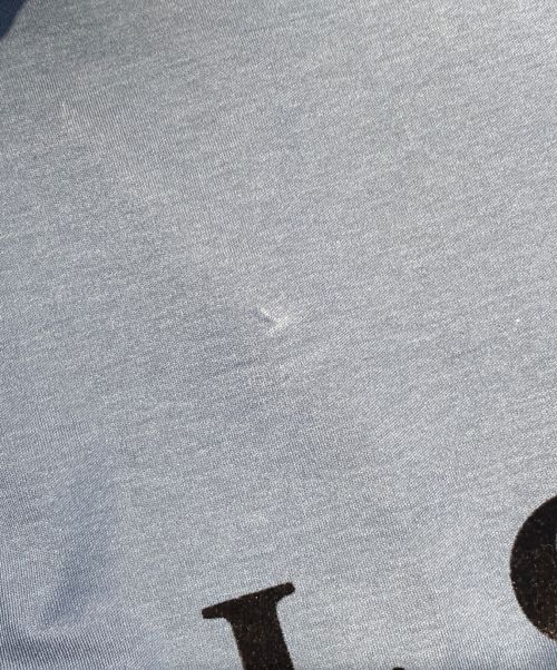 LOUIS VUITTON（ルイ ヴィトン）LOUIS VUITTON (ルイ ヴィトン) フロッキークロスロゴTシャツ ネイビー サイズ:XLの古着・服飾アイテム