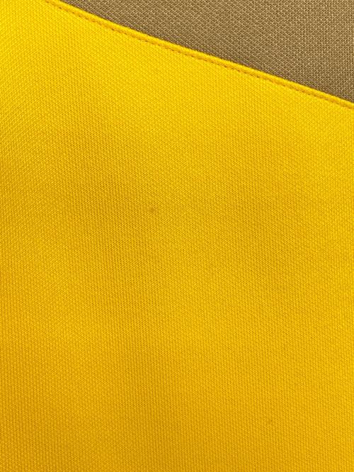 FENDI（フェンディ）FENDI (フェンディ) FFロゴトラックパンツ イエロー×ブラック サイズ:Mの古着・服飾アイテム