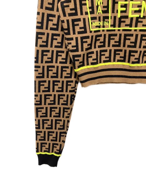 FENDI（フェンディ）FENDI (フェンディ) ズッカ柄クルーネックニット ブラウン サイズ:38の古着・服飾アイテム