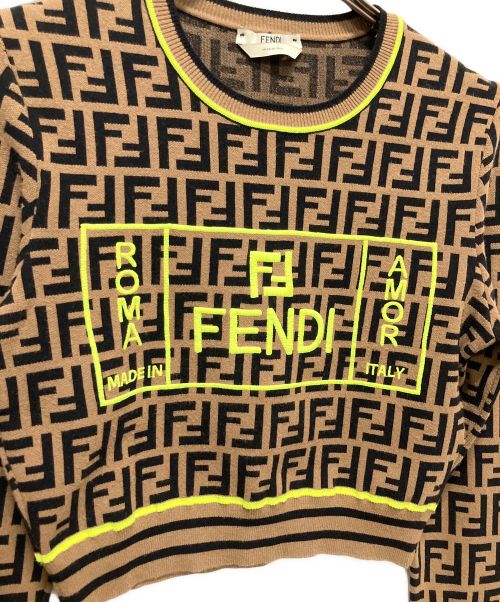 FENDI（フェンディ）FENDI (フェンディ) ズッカ柄クルーネックニット ブラウン サイズ:38の古着・服飾アイテム