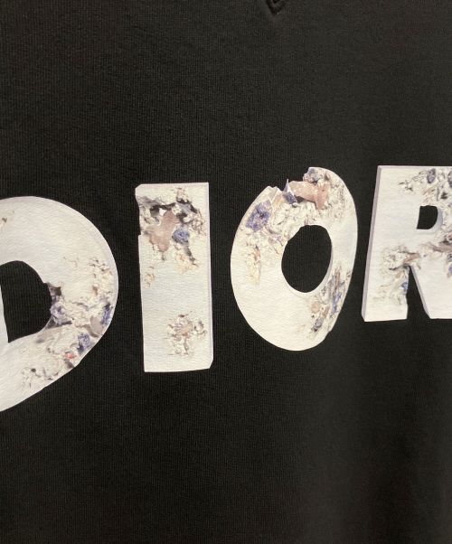 Dior（ディオール）Dior (ディオール) DANIEL ARSHAMロゴスウェット ブラック サイズ:XSの古着・服飾アイテム