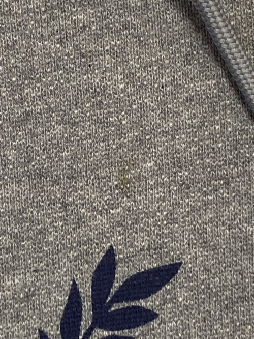 BALENCIAGA（バレンシアガ）BALENCIAGA (バレンシアガ) BBロゴパーカー グレー サイズ:Lの古着・服飾アイテム