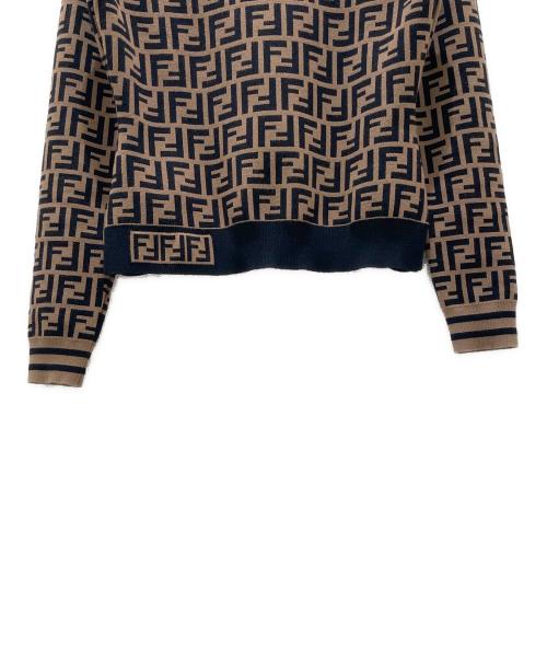 FENDI（フェンディ）FENDI (フェンディ) ズッカ柄ニット ブラウン×ブラック サイズ:38の古着・服飾アイテム