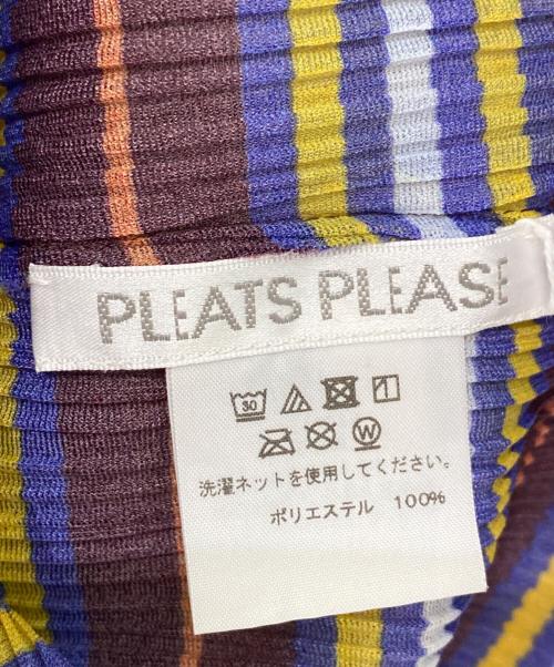 me ISSEY MIYAKE（ミーイッセイ ミヤケ）me ISSEY MIYAKE (ミーイッセイ ミヤケ) ボーダープリーツカットソー ワインレッド サイズ:3の古着・服飾アイテム