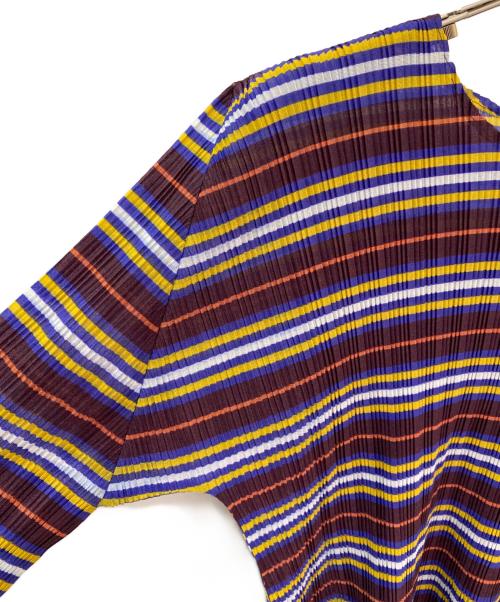 me ISSEY MIYAKE（ミーイッセイ ミヤケ）me ISSEY MIYAKE (ミーイッセイ ミヤケ) ボーダープリーツカットソー ワインレッド サイズ:3の古着・服飾アイテム