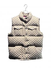GUCCI×THE NORTH FACE（グッチ×ザ ノース フェイス）の古着「GGロゴダウンベスト」｜ベージュ