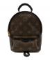 LOUIS VUITTON（ルイ ヴィトン）の古着「パームスプリングス バックパック ミニ/リュック」