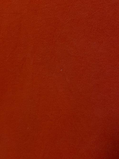 BALENCIAGA（バレンシアガ）BALENCIAGA (バレンシアガ) ロゴTシャツ レッド サイズ:XSの古着・服飾アイテム