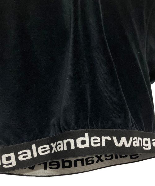 ALEXANDER WANG（アレキサンダー・ワン）ALEXANDER WANG (アレキサンダーワン) ベロア半袖パーカー ブラック サイズ:XSの古着・服飾アイテム