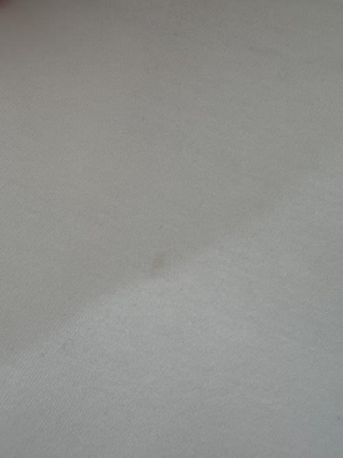 LOEWE（ロエベ）LOEWE (ロエベ) トラペーズ トップス ホワイト サイズ:XSの古着・服飾アイテム