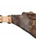 中古・古着 LOUIS VUITTON (ルイ ヴィトン) ショルダーバッグ：300000円