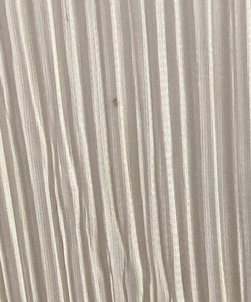 PLEATS PLEASE（プリーツプリーズ）PLEATS PLEASE (プリーツプリーズ) プリーツカットソー アイボリー サイズ:表記なしの古着・服飾アイテム