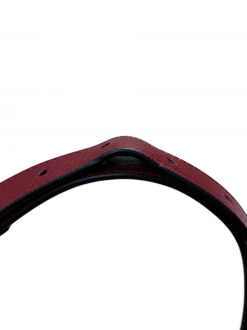 GUCCI（グッチ）GUCCI (グッチ) ブロンディ ショルダーバッグ 74230 レッド サイズ:-の古着・服飾アイテム