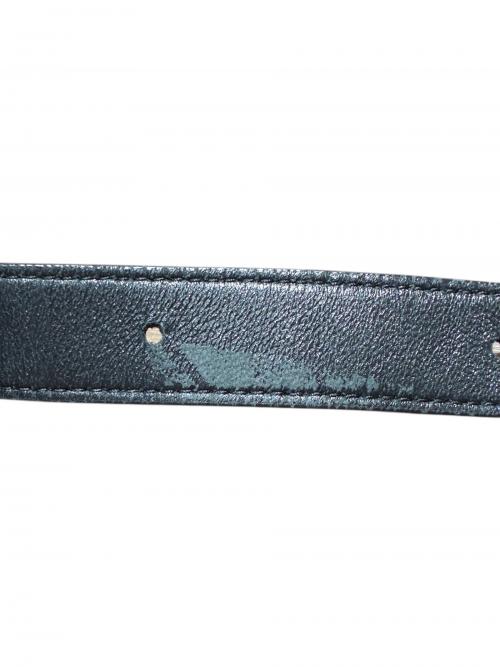 BOTTEGA VENETA（ボッテガベネタ）BOTTEGA VENETA (ボッテガベネタ) パデットカセットショルダーバッグ ブラック サイズ:-の古着・服飾アイテム