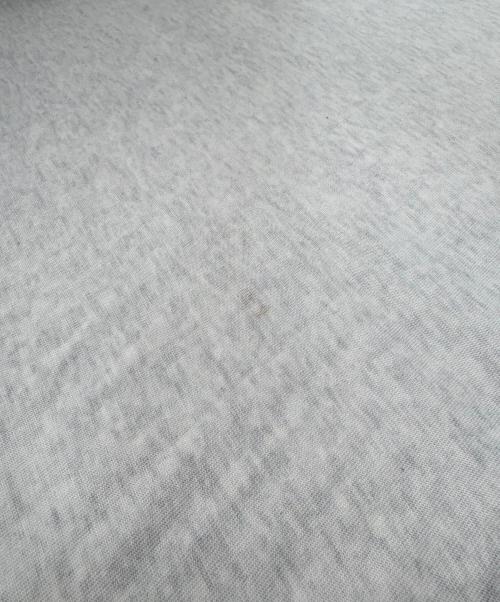 BALENCIAGA（バレンシアガ）BALENCIAGA (バレンシアガ) リバースロゴTシャツ/XJ687356 グレー サイズ:2の古着・服飾アイテム