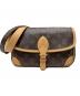 LOUIS VUITTON（ルイ ヴィトン）の古着「ディアヌ モノグラム・アンプラント」