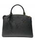 LOUIS VUITTON（ルイ ヴィトン）の古着「プティパレPM/モノグラム・アンプラント」｜ブラック