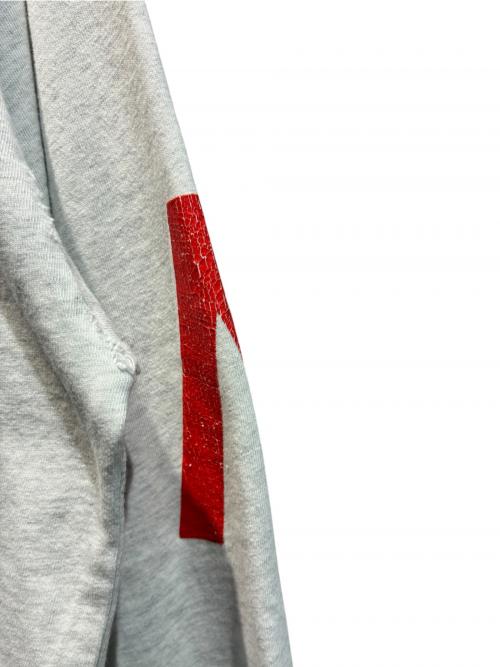 BALENCIAGA（バレンシアガ）BALENCIAGA (バレンシアガ) ロングスリーブTシャツ グレー サイズ:Mの古着・服飾アイテム