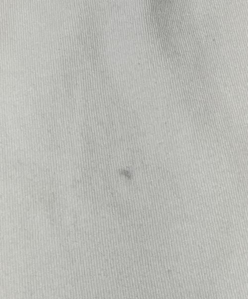 BALENCIAGA（バレンシアガ）BALENCIAGA (バレンシアガ) ロゴTシャツ ホワイト サイズ:XXSの古着・服飾アイテム