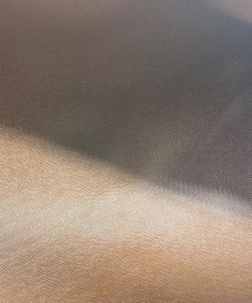 LOUIS VUITTON（ルイ ヴィトン）LOUIS VUITTON (ルイ ヴィトン) ハンドバッグ ブラウンの古着・服飾アイテム