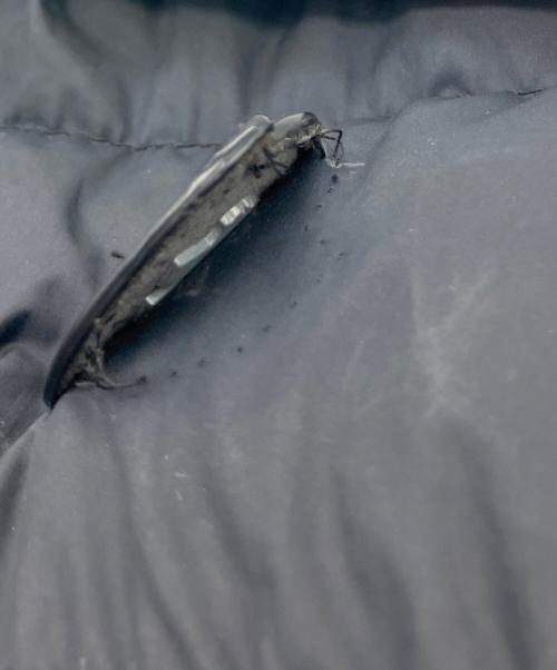 MONCLER（モンクレール）MONCLER (モンクレール) ダウンベスト ブラックの古着・服飾アイテム