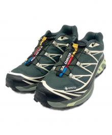 SALOMON（サロモン）の古着「スニーカー XT-6 GTX」｜グレー