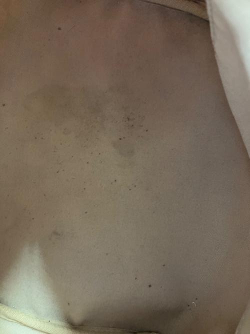 LOUIS VUITTON（ルイ ヴィトン）LOUIS VUITTON (ルイ ヴィトン) ボストンバッグ ダミエ・アズール スピーディ25の古着・服飾アイテム