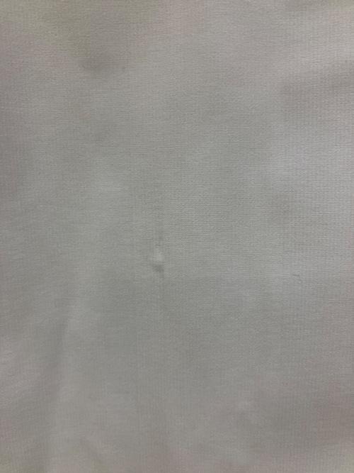 DESCENTE（デサント）DESCENTE (デサント) Spick and Span (スピック＆スパン) マウンテンパーカー 別注WATERPROOF JACKET ライトグレー サイズ:L 未使用品の古着・服飾アイテム