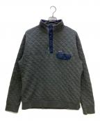 Patagoniaパタゴニア）の古着「Organic Cotton Quilt Snap-T SP17」｜グレー