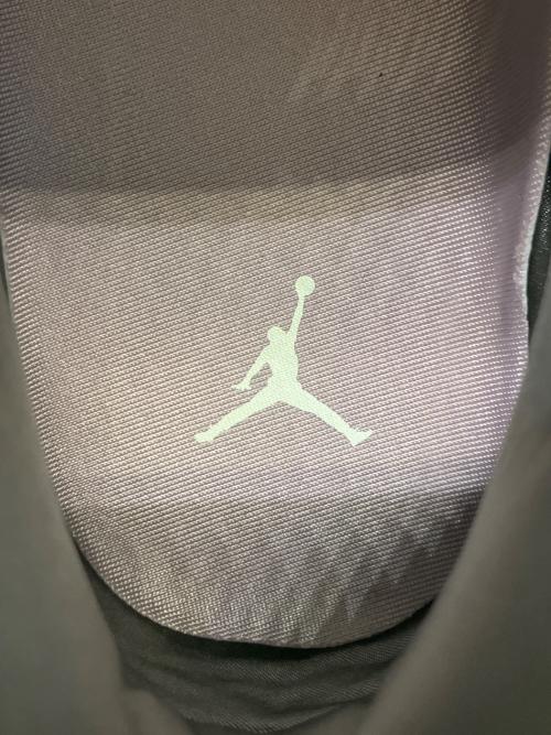 NIKE（ナイキ）NIKE (ナイキ) ハイカットスニーカー AIR JORDAN11 SUKAJAN グレー サイズ:27の古着・服飾アイテム