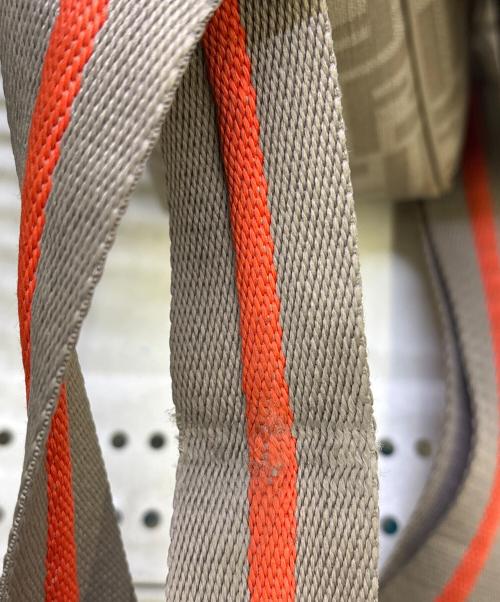 FENDI（フェンディ）FENDI (フェンディ) ショルダーバッグ　ズッキーノ ベージュの古着・服飾アイテム