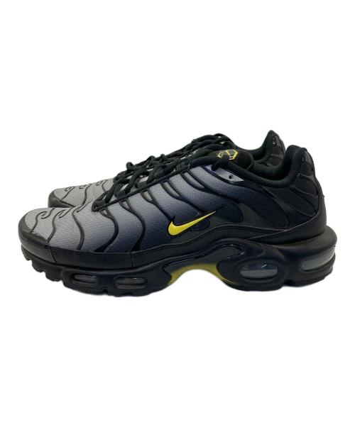 NIKE（ナイキ）NIKE (ナイキ) ローカットスニーカー ブラック×グレー サイズ:27.5cmの古着・服飾アイテム